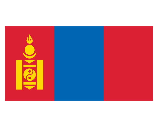IN Flag