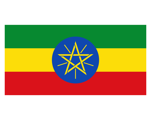 IN Flag
