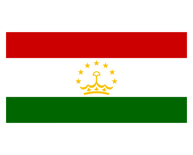 IN Flag